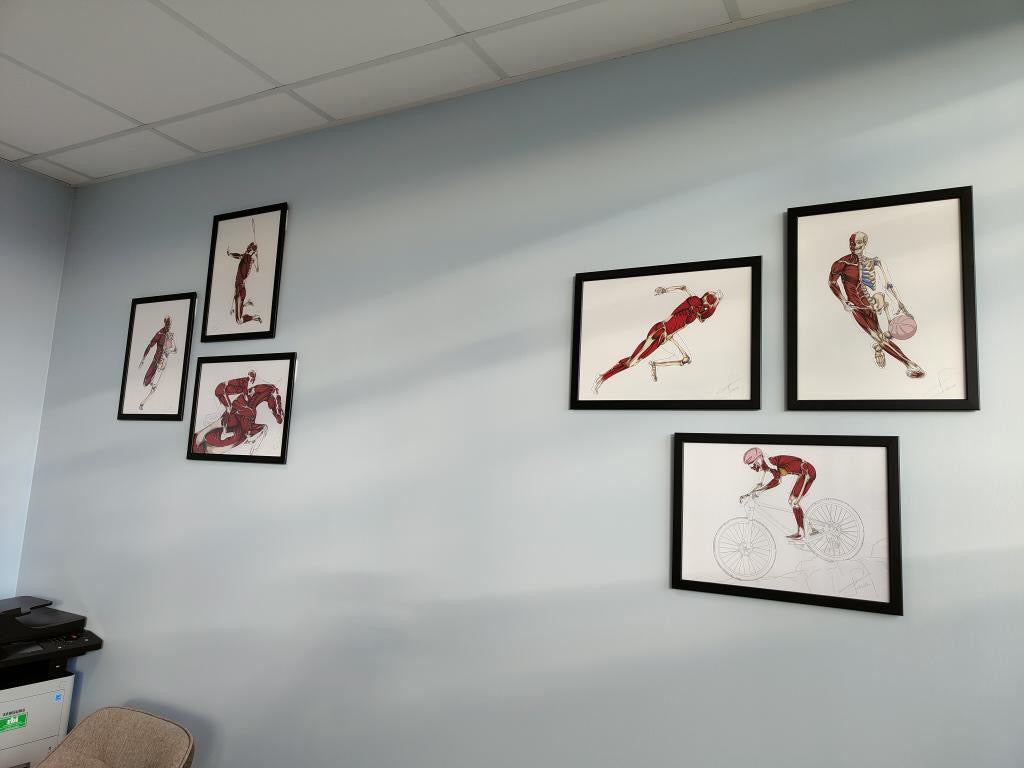 Planche anatomique du Rugby