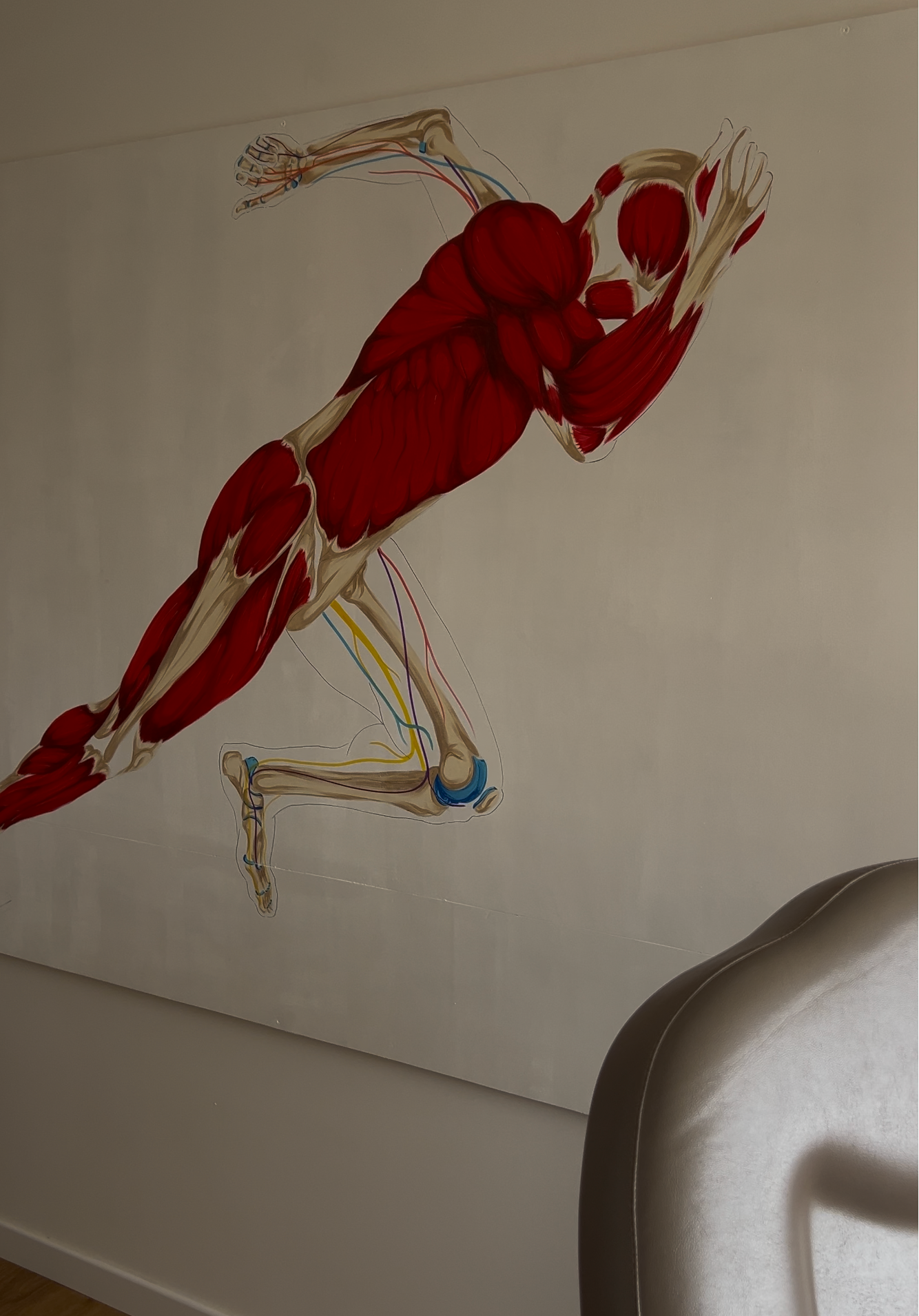 Décoration murale anatomique cabinet de podologie