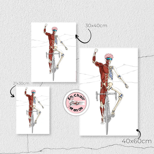 🎁 Le cadeau de Noël idéal pour un médecin passionné d’anatomie : Une affiche qui allie science et esthétique