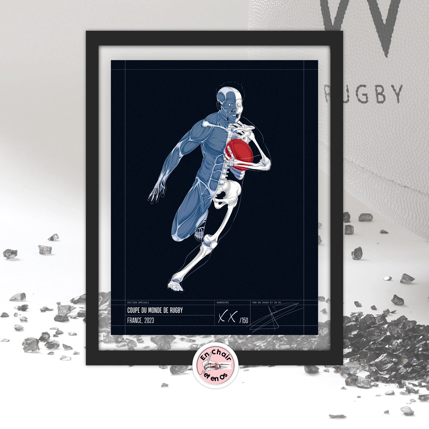 Poster anatomique du Rugby - ÉDITION SPÉCIALE - coupe du monde de rugby