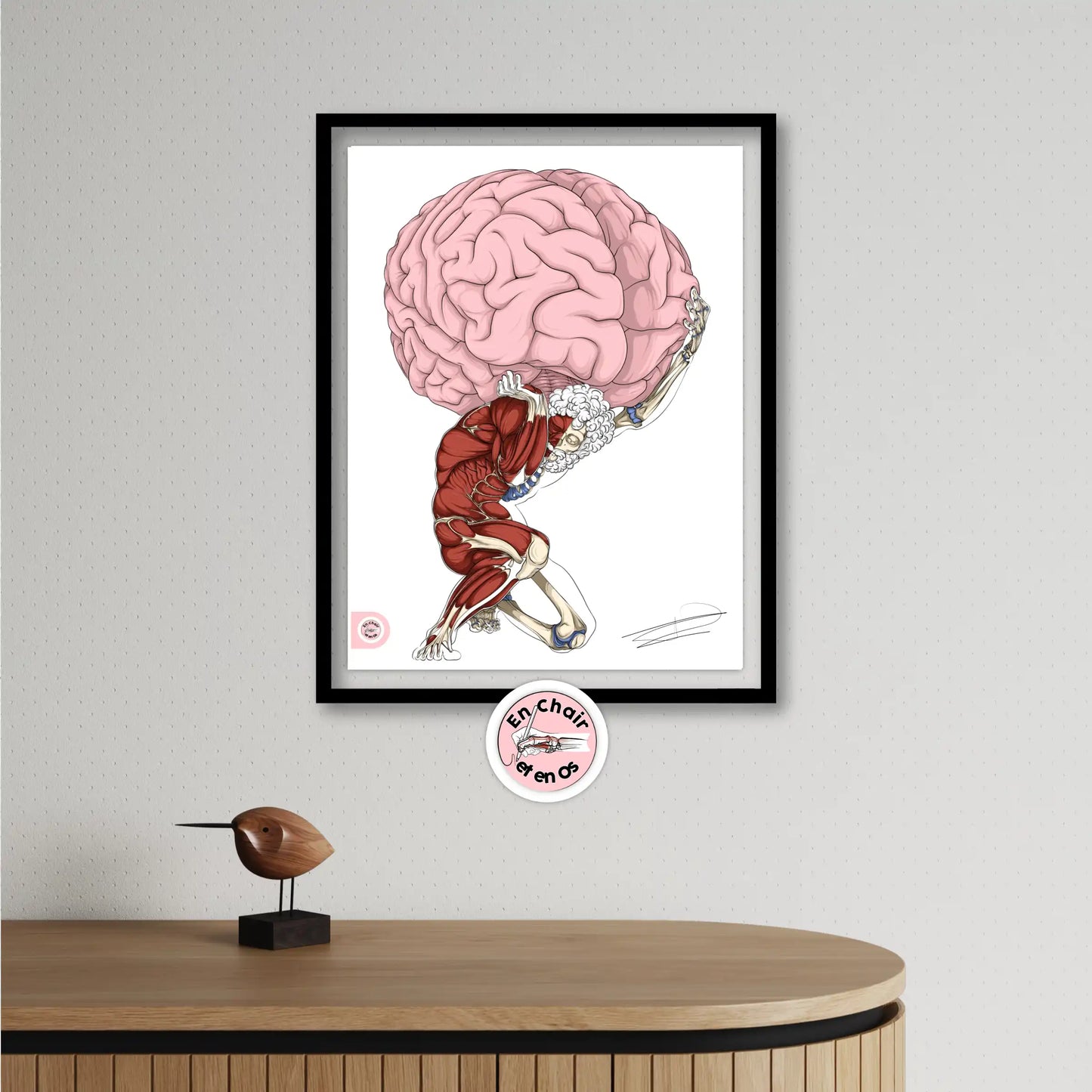 Écorché anatomique de l'Atlas