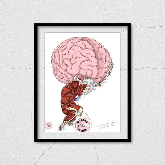 Écorché anatomique de l'Atlas