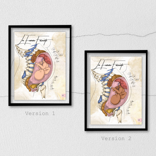 Anatomie de la femme enceinte En Chair et en Os