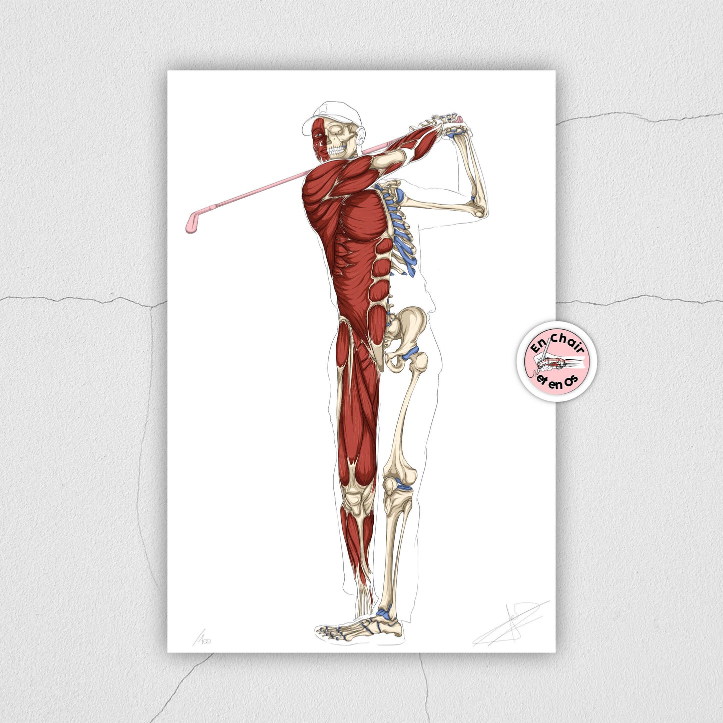 Planche anatomique golf