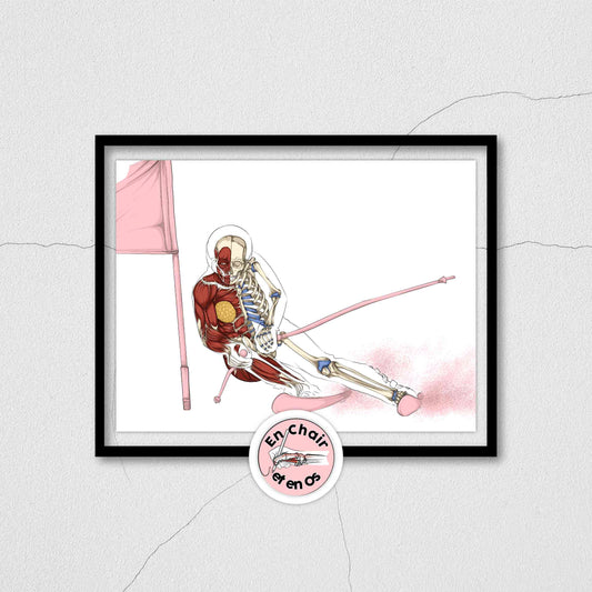 Écorché anatomique ski - Slalom Géant