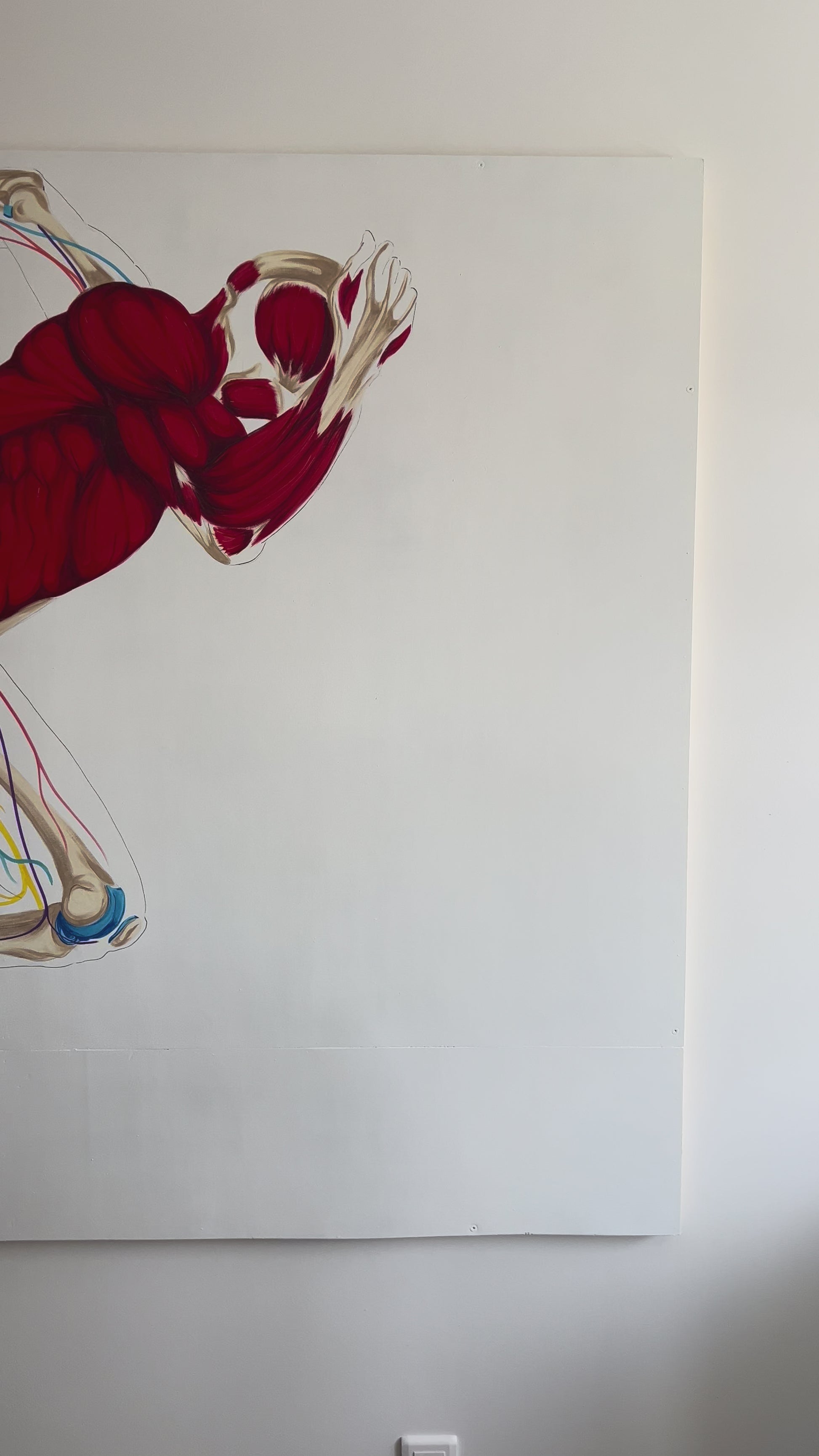 décoration cabinet podologie - anatomie du corps humain