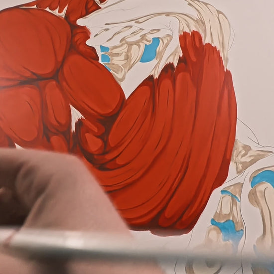 Décoration cabinet physiothérapie Suisse