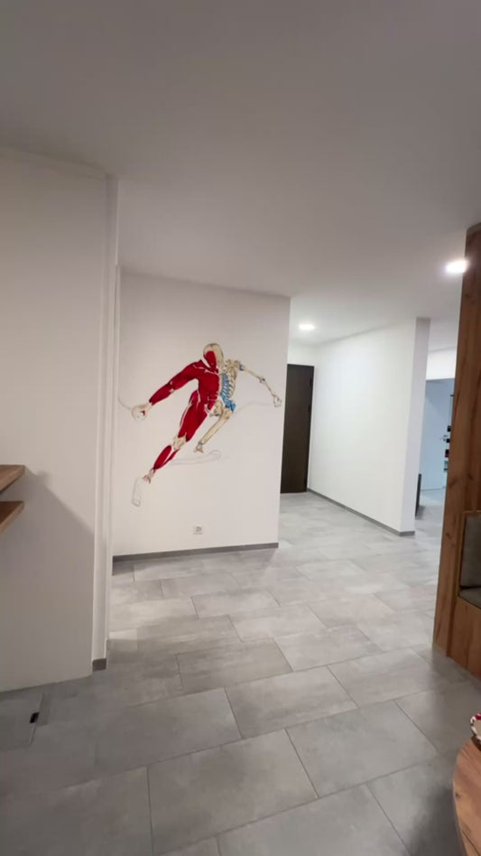 Fresque murale anatomique Skieur et Penseur de Rodin – Cabinet de kinésithérapie