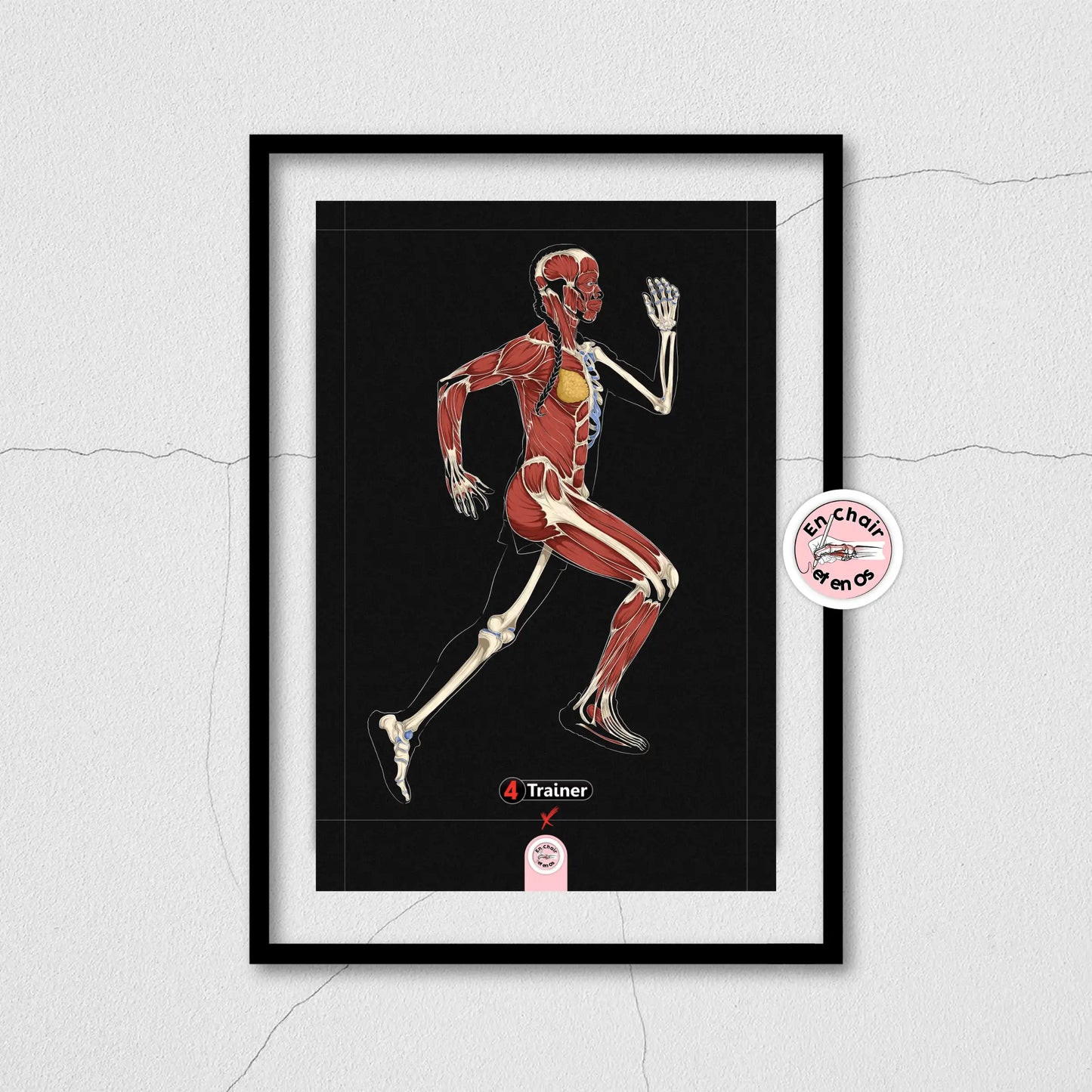 Écorché anatomique de la course à pied - la marathonienne